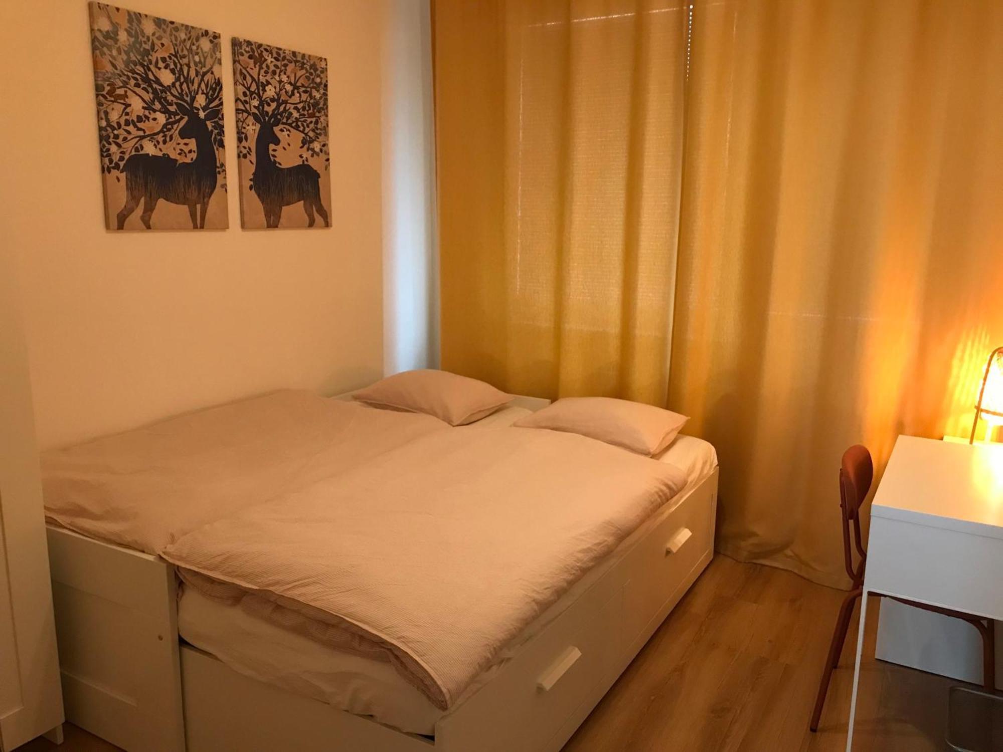 Spacious Apartment In The Park Kosice Exterior photo